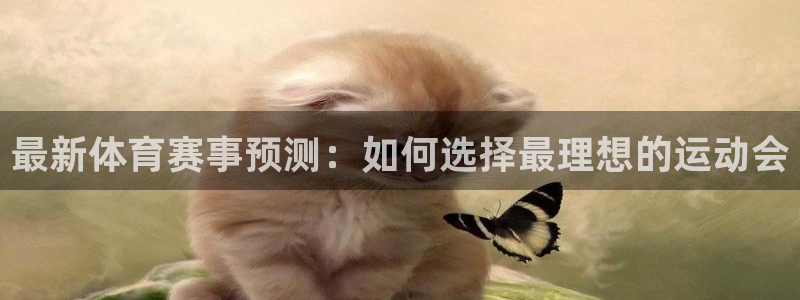 球速体育