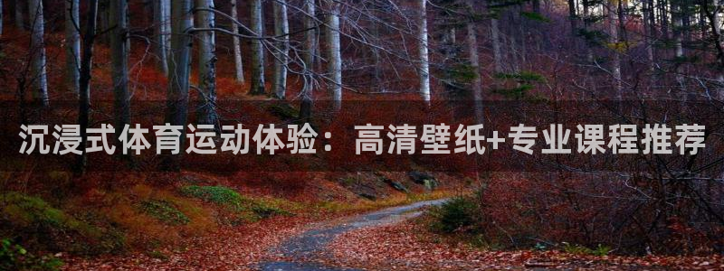 球速体育