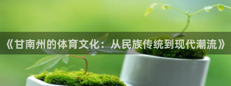 球速体育：《甘南州的体育文化：从民族传统到现代潮流》