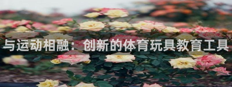 球速体育：与运动相融：创新的体育玩具教育工具