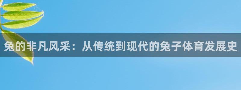 球速体育：兔的非凡风采：从传统到现代的兔子体育发展史