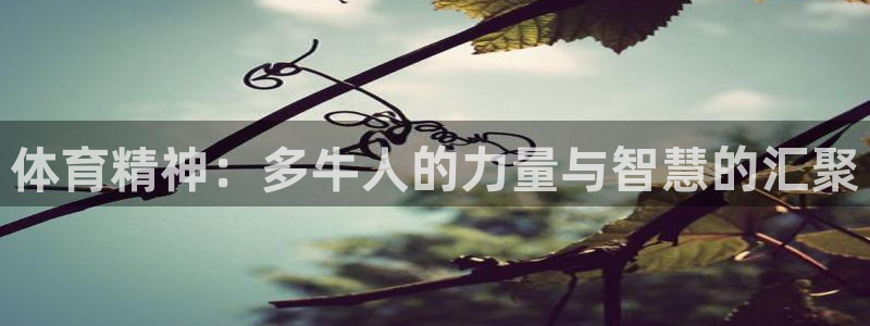 球速体育：体育精神：多牛人的力量与智慧的汇聚