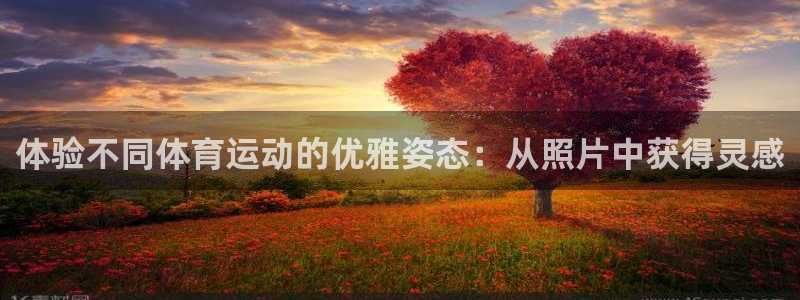 球速体育