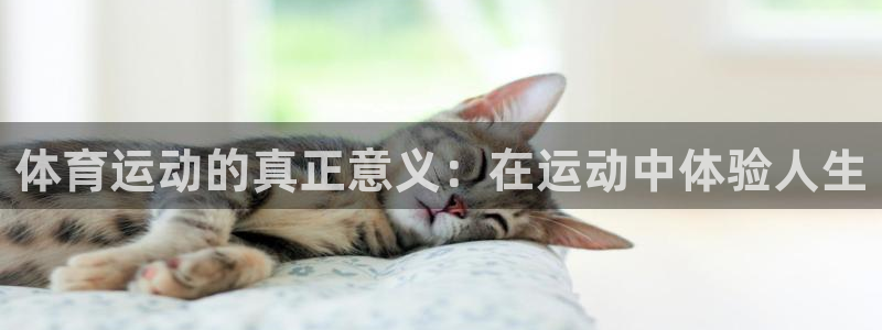 球速体育