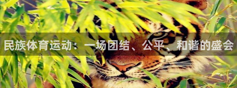 球速体育：民族体育运动：一场团结、公平、和谐的盛会