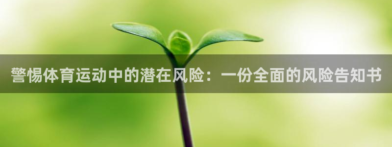 球速体育