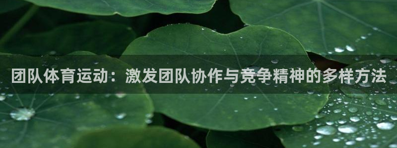 球速体育：团队体育运动：激发团队协作与竞争精神的多样方法