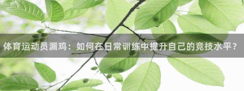 球速体育