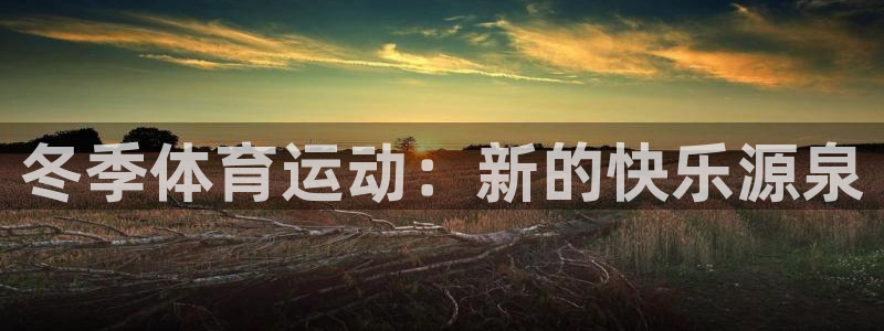 球速体育