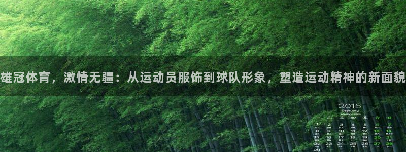 球速体育