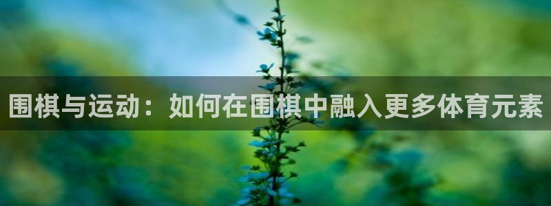 球速体育：围棋与运动：如何在围棋中融入更多体育元素